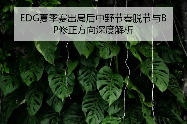 EDG夏季赛出局后中野节奏脱节与BP修正方向深度解析